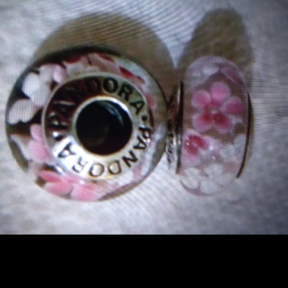 1 Authentic Pandora charm